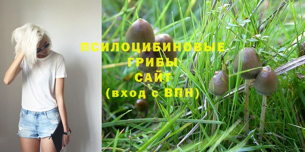 экстази Алексин