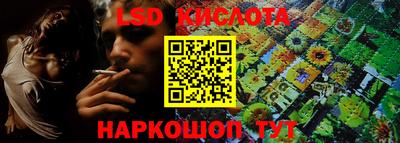 прущие грибы Краснодар
