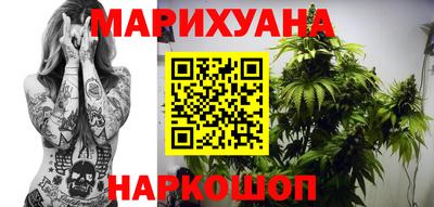 прущие грибы Краснодар