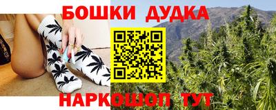прущие грибы Краснодар
