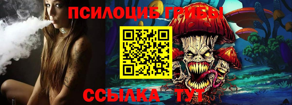 Галлюциногенные грибы Psilocybine cubensis  Вход с VPN  Углич 